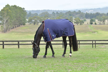 Weatherbeeta Comfitec Essential Turnout 50G Navy/ Burgundy| Online For Equine