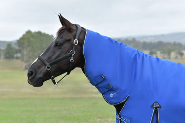 Weatherbeeta Comfitec Essential Turnout Combo 220G Cobalt/ Black| Online For Equine