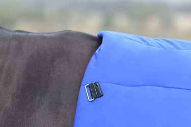 Weatherbeeta Comfitec Essential Turnout Combo 220G Cobalt/ Black| Online For Equine