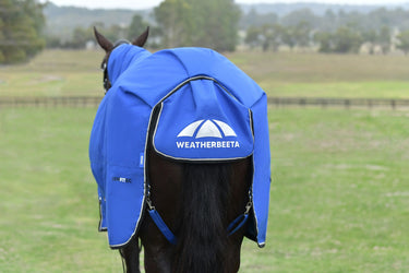 Weatherbeeta Comfitec Essential Turnout Combo 220G Cobalt/ Black| Online For Equine