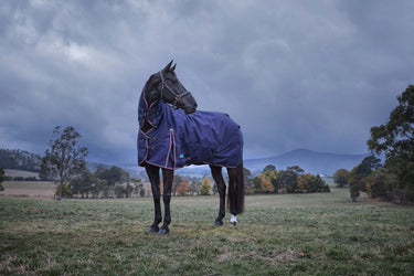 Weatherbeeta Comfitec Essential Turnout Combo 220G Navy/ Burgundy| Online For Equine