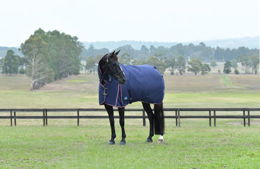 Weatherbeeta Comfitec Essential Turnout Combo 360G Navy/ Burgundy| Online For Equine