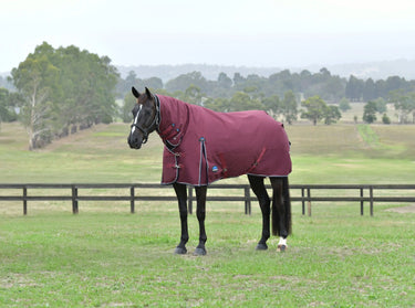 Weatherbeeta Comfitec Essential Turnout Combo 50G Burgundy/ Navy| Online For Equine