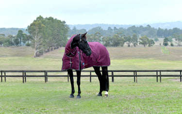 Weatherbeeta Comfitec Essential Turnout Combo 50G Burgundy/ Navy| Online For Equine