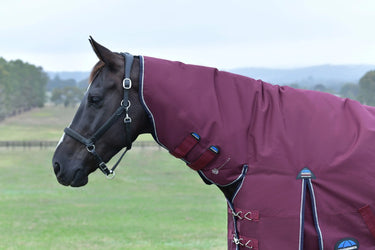 Weatherbeeta Comfitec Essential Turnout Combo 50G Burgundy/ Navy| Online For Equine