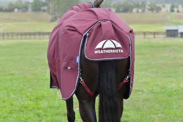 Weatherbeeta Comfitec Essential Turnout Combo 50G Burgundy/ Navy| Online For Equine