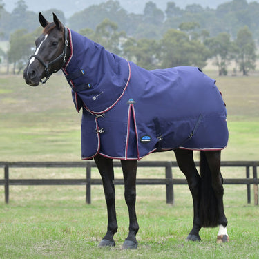 Weatherbeeta Comfitec Essential Turnout Detach-A-Neck 220G Navy/ Burgundy| Online For Equine