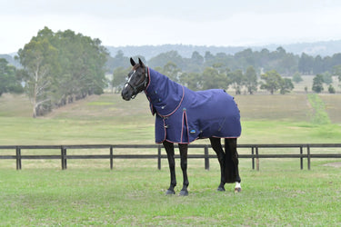 Weatherbeeta Comfitec Essential Turnout Detach-A-Neck 220G Navy/ Burgundy| Online For Equine