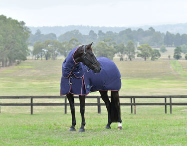Weatherbeeta Comfitec Essential Turnout Detach-A-Neck 220G Navy/ Burgundy| Online For Equine
