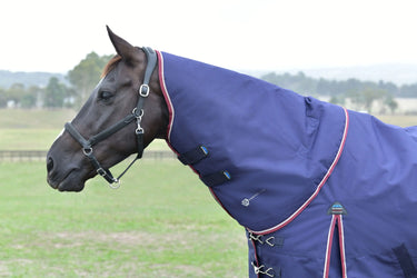 Weatherbeeta Comfitec Essential Turnout Detach-A-Neck 220G Navy/ Burgundy| Online For Equine
