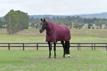 Weatherbeeta Comfitec Essential Turnout Detach-A-Neck 50G Burgundy/ Navy| Online For Equine