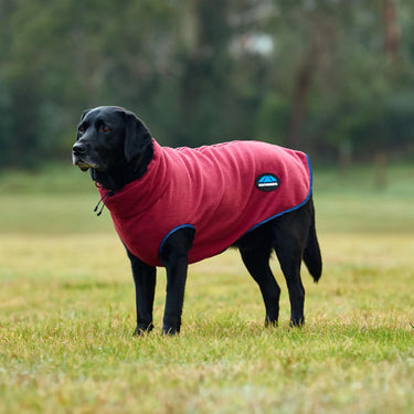 Weatherbeeta Comfitec Fleece Zip Dog Coat Burgundy/ Navy| Online For Equine