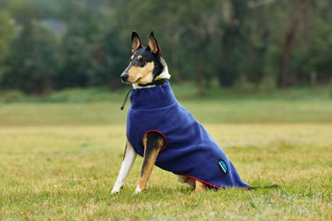 Buy Weatherbeeta Comfitec Fleece Zip Dog Coat Burgundy/Navy | Online for Equine