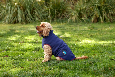 Buy Weatherbeeta Comfitec Fleece Zip Dog Coat Burgundy/Navy | Online for Equine