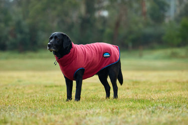 Buy Weatherbeeta Comfitec Fleece Zip Dog Coat Navy/Burgundy | Online for Equine