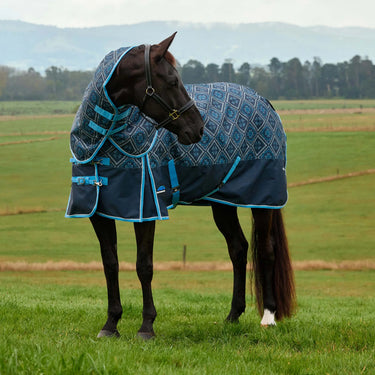 Weatherbeeta Comfitec Heritage Turnout Detach-A-Neck 220G| Online For Equine
