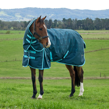 Weatherbeeta Comfitec Limited Edition Turnout Detach-A-Neck 220G| Online For Equine