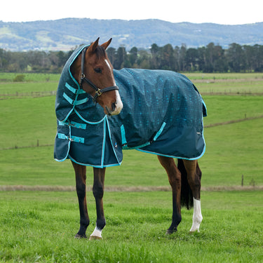 Weatherbeeta Comfitec Limited Edition Turnout Detach-A-Neck 220G| Online For Equine