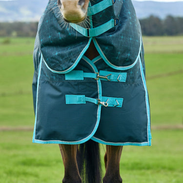 Weatherbeeta Comfitec Limited Edition Turnout Detach-A-Neck 220G| Online For Equine