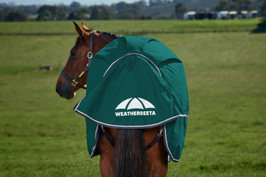 Weatherbeeta Comfitec Plus Dynamic Turnout 0G Forest Green/ Navy| Online For Equine