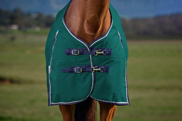 Weatherbeeta Comfitec Plus Dynamic Turnout 0G Forest Green/ Navy| Online For Equine