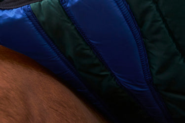 Weatherbeeta Comfitec Plus Dynamic Turnout 0G Navy/ Forest Green| Online For Equine