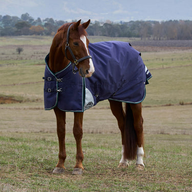 Weatherbeeta Comfitec Plus Dynamic Turnout 100G Navy/ Forest Green| Online For Equine