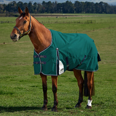 Weatherbeeta Comfitec Plus Dynamic Turnout 220G Forest Green/ Navy| Online For Equine