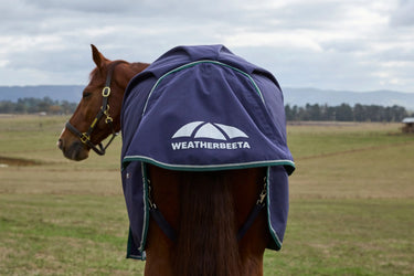 Weatherbeeta Comfitec Plus Dynamic Turnout 220G Navy/Forest Green| Online For Equine