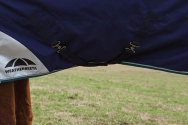 Weatherbeeta Comfitec Plus Dynamic Turnout Detach-A-Neck 0G Navy/ Forest Green| Online For Equine