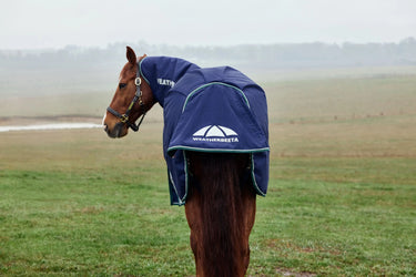 Weatherbeeta Comfitec Plus Dynamic Turnout Detach-A-Neck 100G Navy/ Forest Green| Online For Equine
