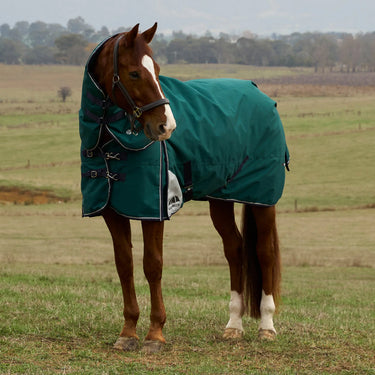 Weatherbeeta Comfitec Plus Dynamic Turnout Detach-A-Neck 220G| Online For Equine