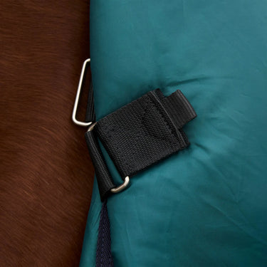 Weatherbeeta Comfitec Plus Dynamic Turnout Detach-A-Neck 220G| Online For Equine