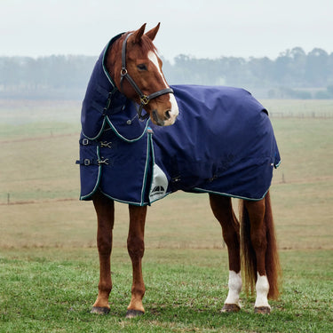 Weatherbeeta Comfitec Plus Dynamic Turnout Detach-A-Neck 220G| Online For Equine