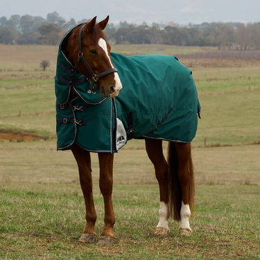 Weatherbeeta Comfitec Plus Dynamic Turnout Detach-A-Neck 220G| Online For Equine