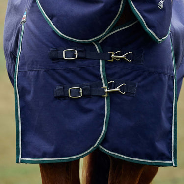 Weatherbeeta Comfitec Plus Dynamic Turnout Detach-A-Neck 220G| Online For Equine