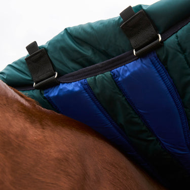 Weatherbeeta Comfitec Plus Dynamic Turnout Detach-A-Neck 360G| Online For Equine