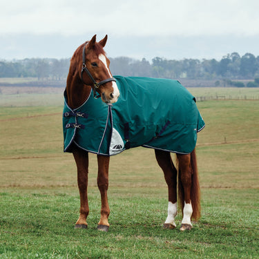 Weatherbeeta Comfitec Plus Dynamic Turnout High Neck 0G| Online For Equine
