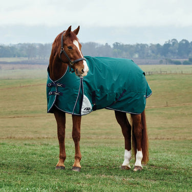 Weatherbeeta Comfitec Plus Dynamic Turnout High Neck 0G| Online For Equine