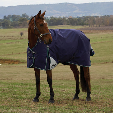 Weatherbeeta Comfitec Plus Dynamic Turnout High Neck 0G| Online For Equine