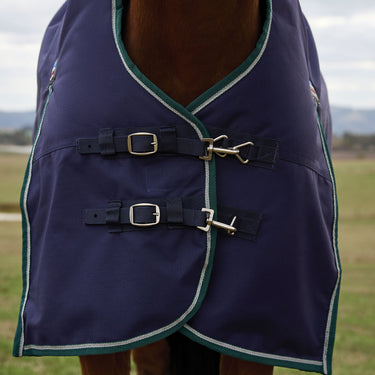 Weatherbeeta Comfitec Plus Dynamic Turnout High Neck 0G| Online For Equine