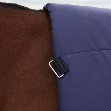Weatherbeeta Comfitec Plus Dynamic Turnout High Neck 0G| Online For Equine
