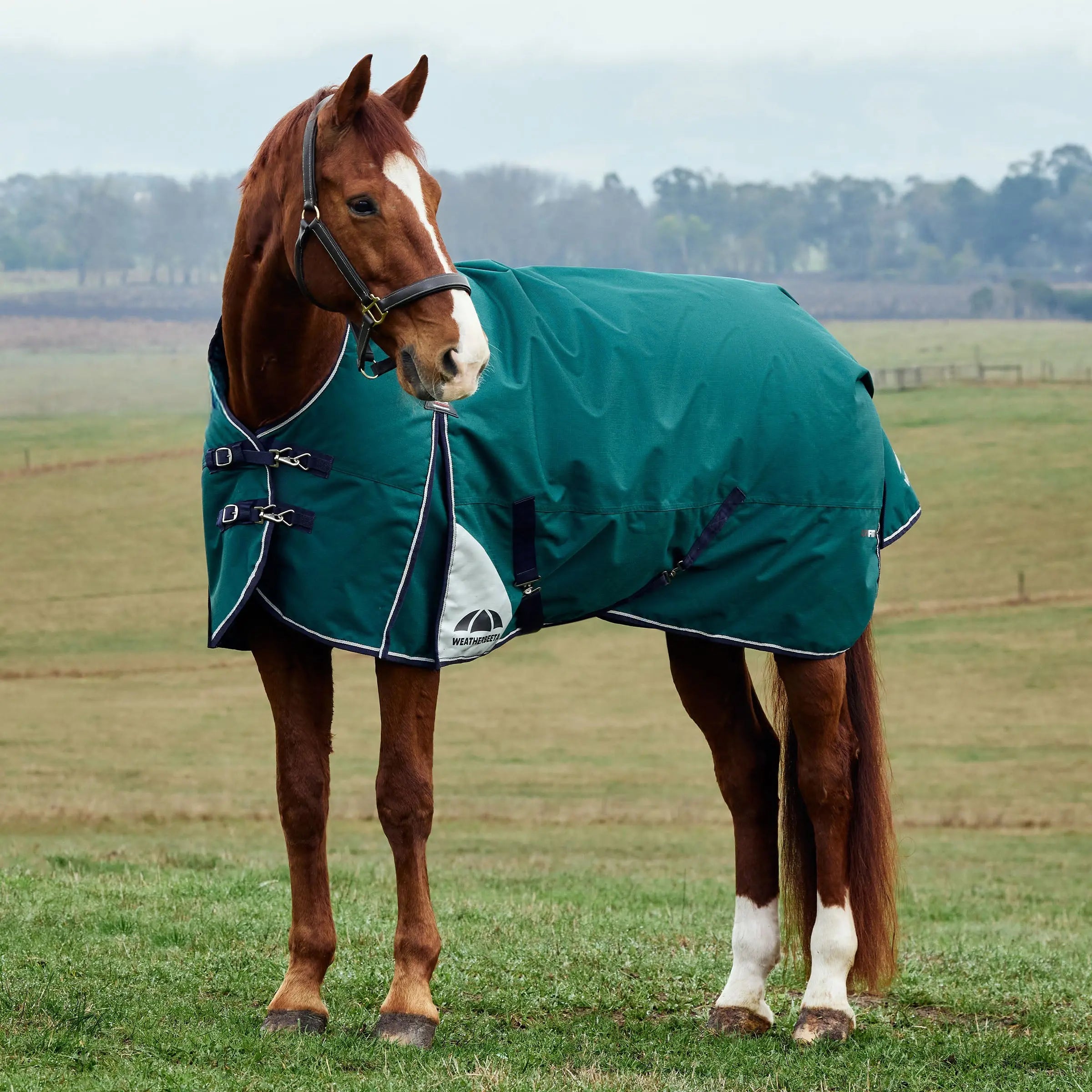 Weatherbeeta Comfitec Plus Dynamic Turnout 0g | HorSeven Weatherbeeta Comfitec Plus Dynamic Turnout 0g | HorSeven