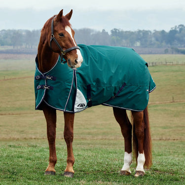 Weatherbeeta Comfitec Plus Dynamic Turnout High Neck 100G| Online For Equine