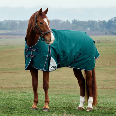 Weatherbeeta Comfitec Plus Dynamic Turnout High Neck 220G| Online For Equine