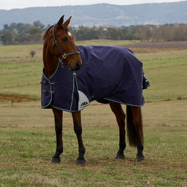 Weatherbeeta Comfitec Plus Dynamic Turnout High Neck 220G| Online For Equine