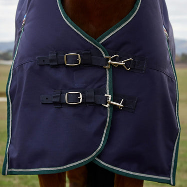 Weatherbeeta Comfitec Plus Dynamic Turnout High Neck 220G| Online For Equine