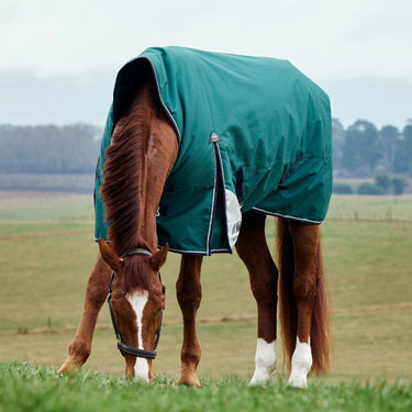 Weatherbeeta Comfitec Plus Dynamic Turnout High Neck 220G| Online For Equine
