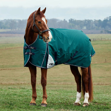 Weatherbeeta Comfitec Plus Dynamic Turnout High Neck 220G| Online For Equine