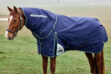 Weatherbeeta Comfitec Plus Dynamic Turnout Neck Cover 100G Navy/ Forest Green| Online For Equine